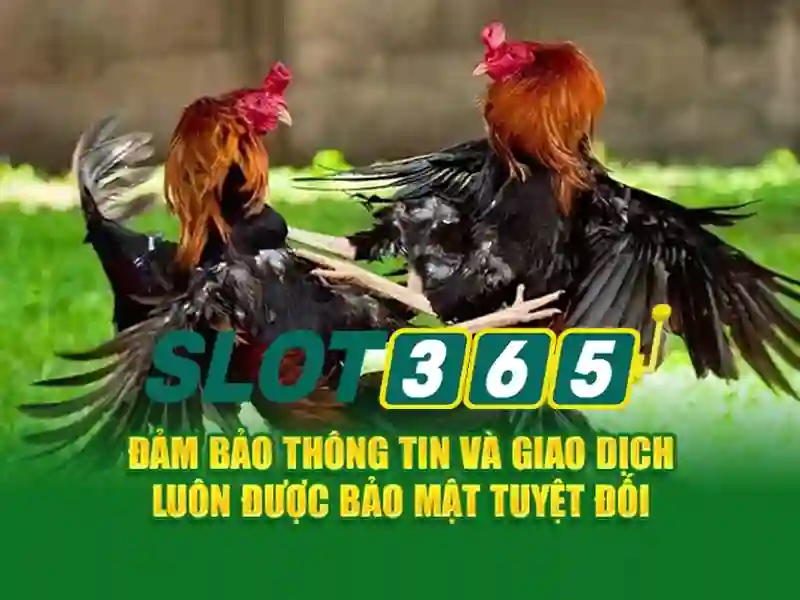 Đăng Ký Tải Slot365 Ngay Hôm Nay