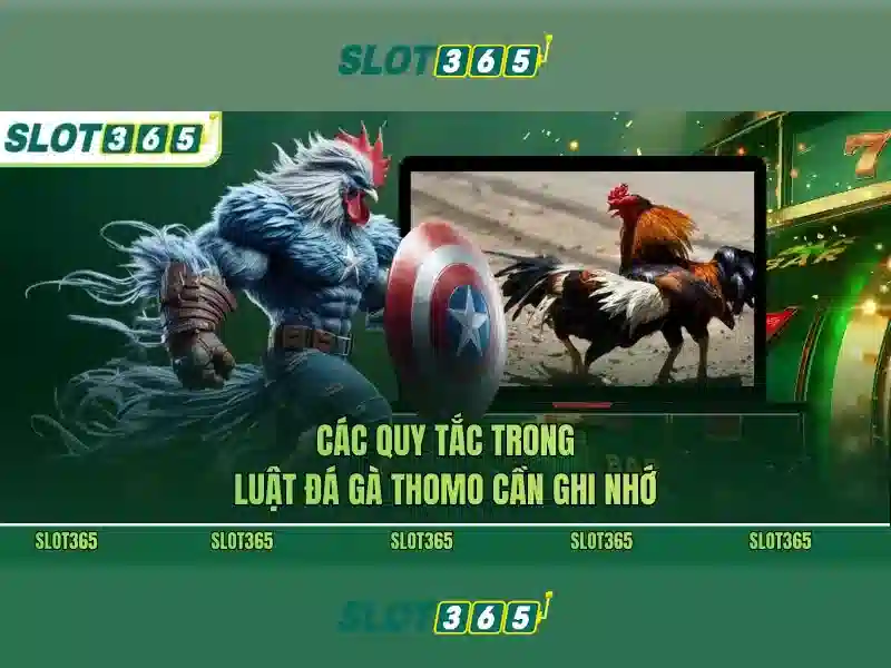 SLOT365 – Tải App Slot365 Miễn Phí, Trải Nghiệm Vui Vẻ Cho Người Chơi 2026