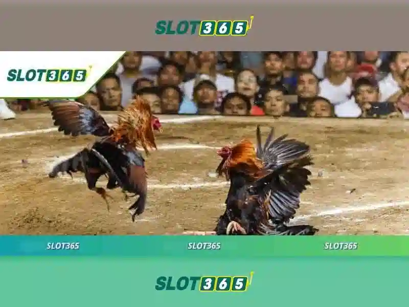 Công Nghệ Slot365 Poker