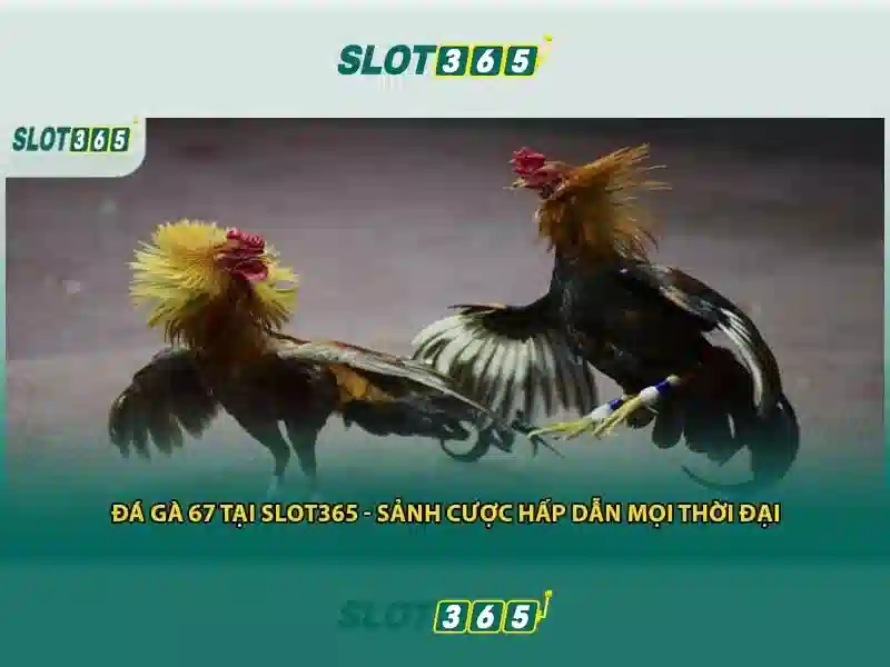 khuyến mãi Slot365 độc quyền