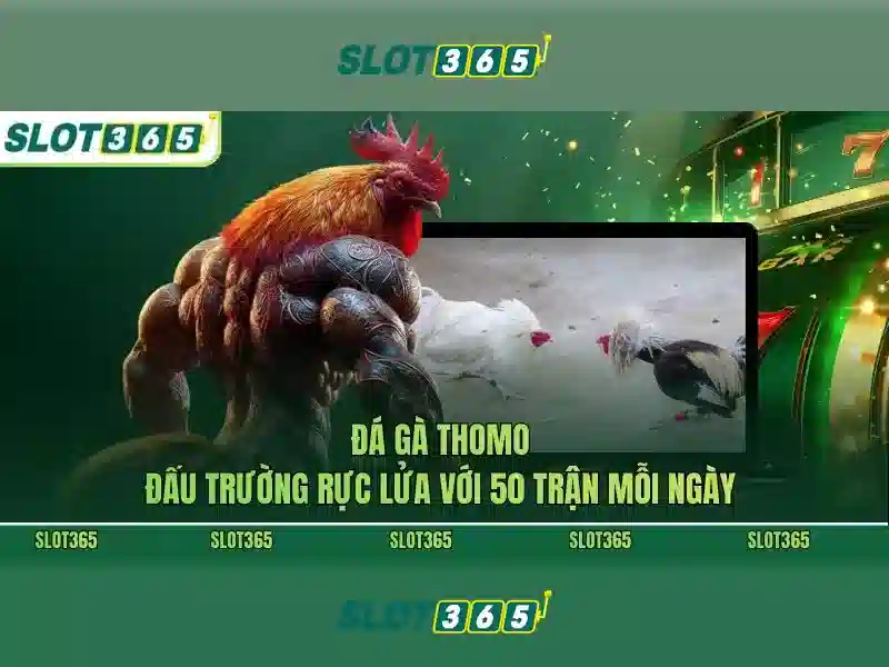 Hướng Dẫn Slot365 Tại