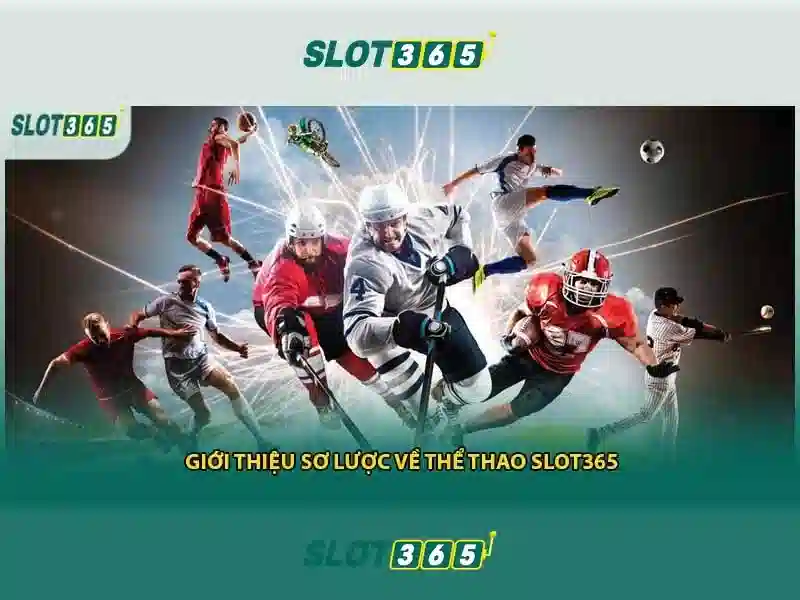 Dịch Vụ Hỗ Trợ Tận Tâm