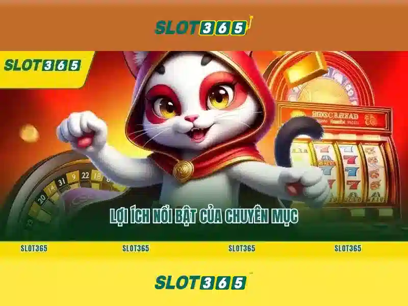 Tại Sao Nên Chọn Slot365