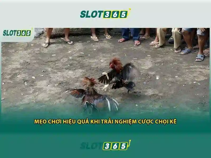 Ưu Đãi Slot365 XX VIP