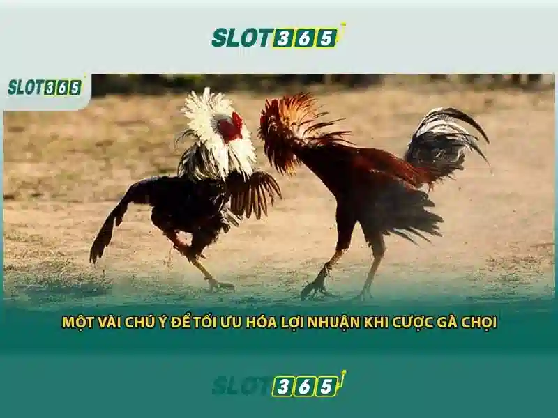SLOT365 – Trang Chủ Ưu Đãi Slot365 Chính Thức Không Bị Chặn 2026