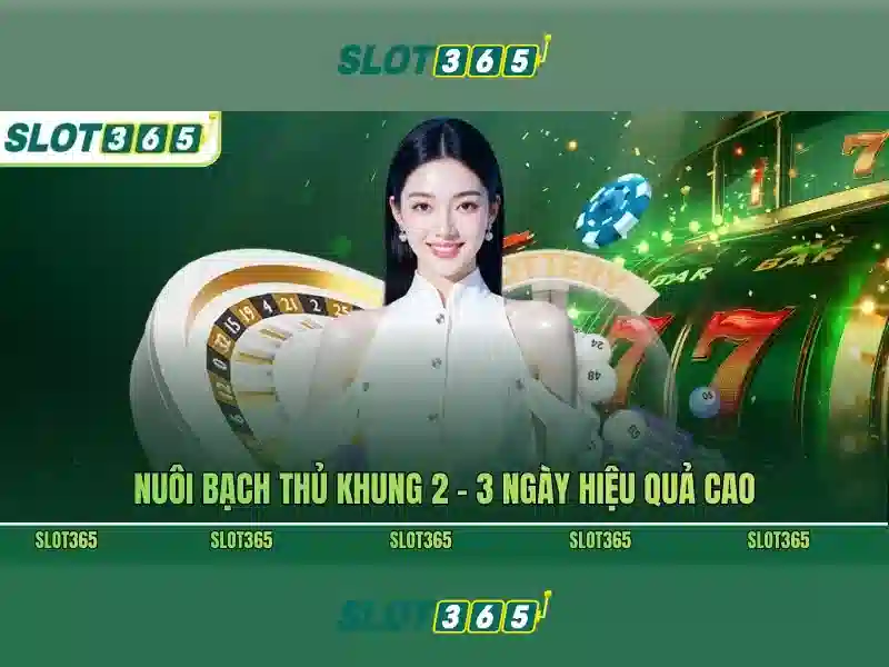 Giới Thiệu Về Tag Nạp Tiền Slot