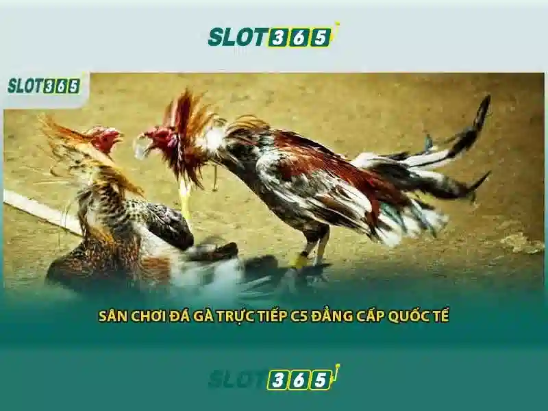 slot365 Pulsa Tanpa Potongan