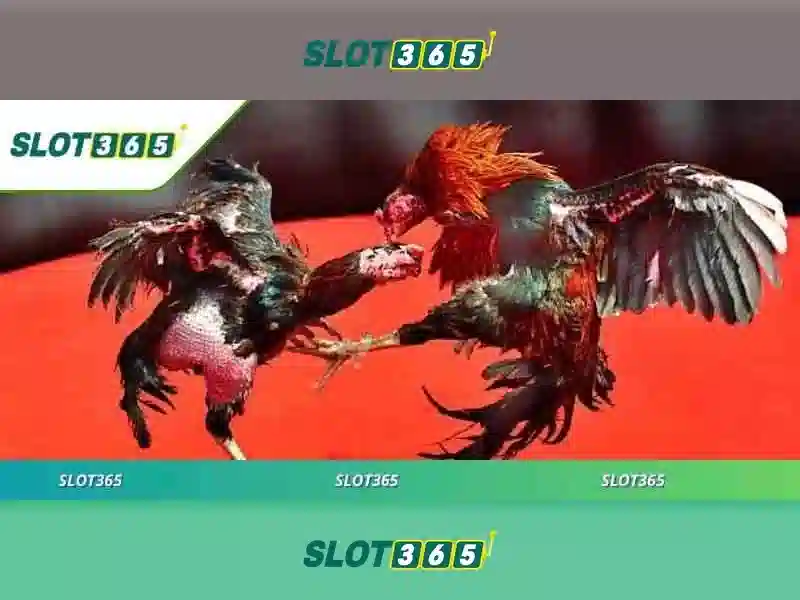 Đăng Nhập Slot365 Tại