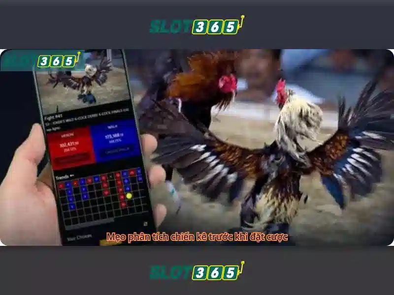 SLOT365