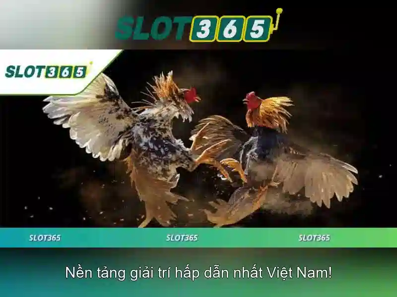 Chính Sách Bảo Mật