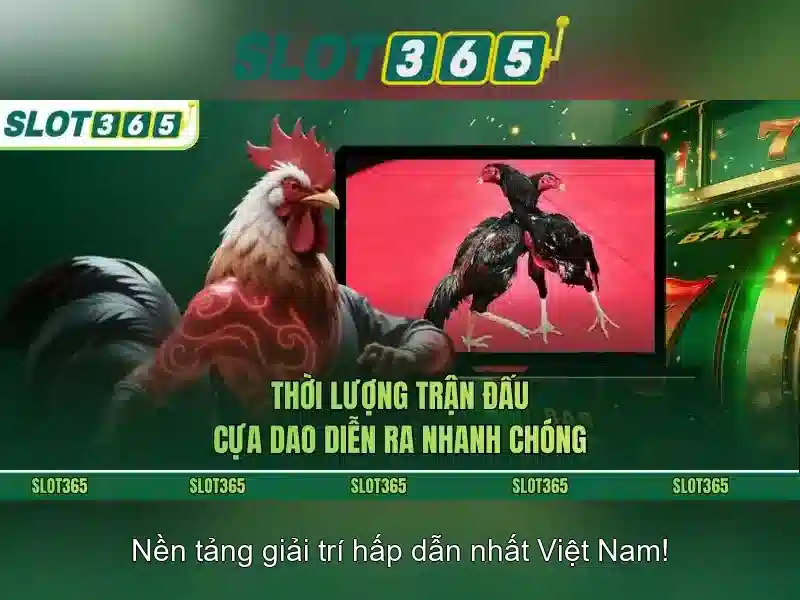 Trò chơi slot đa dạng