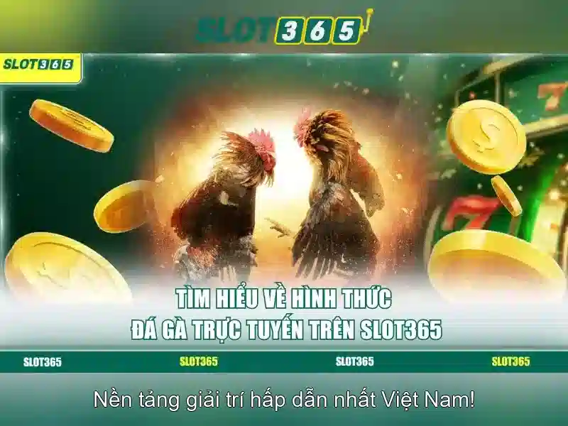 Trải Nghiệm Cá Cược Trực Tuyến