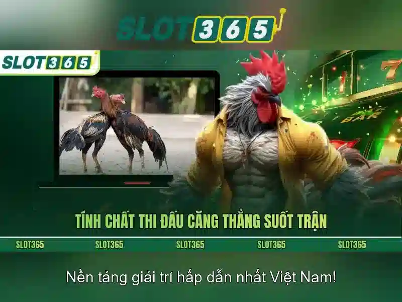 SLOT365 – Trang Chủ Slot365 Mới Nhất 2026 | Code Slot365 Mới Nhất