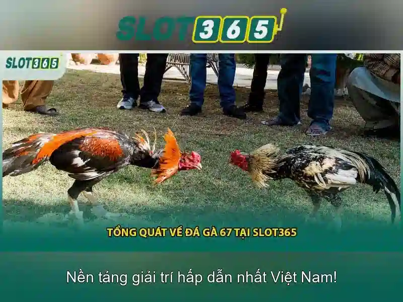 Trải Nghiệm Slot365