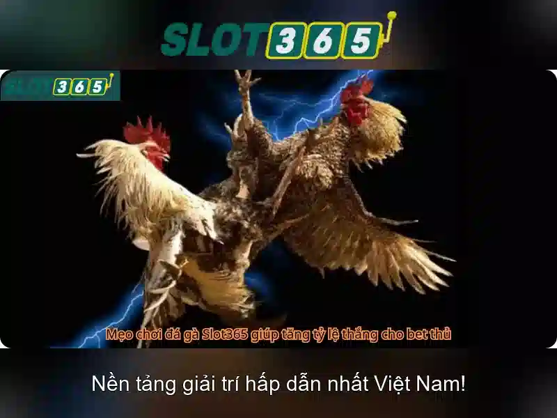 SLOT365 – Bí Kíp Chinh Phục Đại Dương Tiền Thưởng Đẳng Cấp 2026