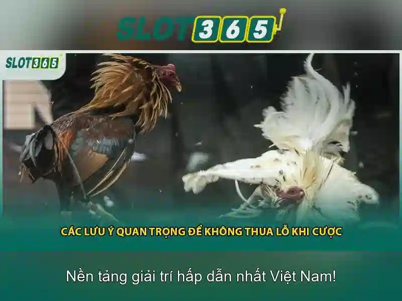 SLOT365 - Trải Nghiệm Slot365 Pulsa Tanpa Potongan Tối Ưu Cho Người Chơi