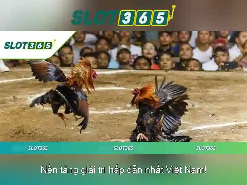 SLOT365 khuyến mãi hấp dẫn