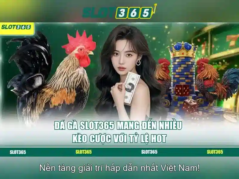 Tại sao cần đổi IP khi chơi Slot365 nổ hũ