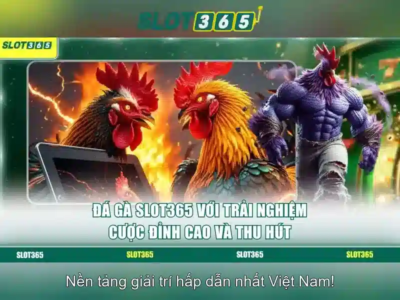 Ưu Đãi Slot365
