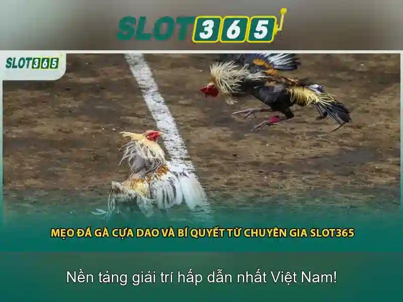 slot365 tang 200k