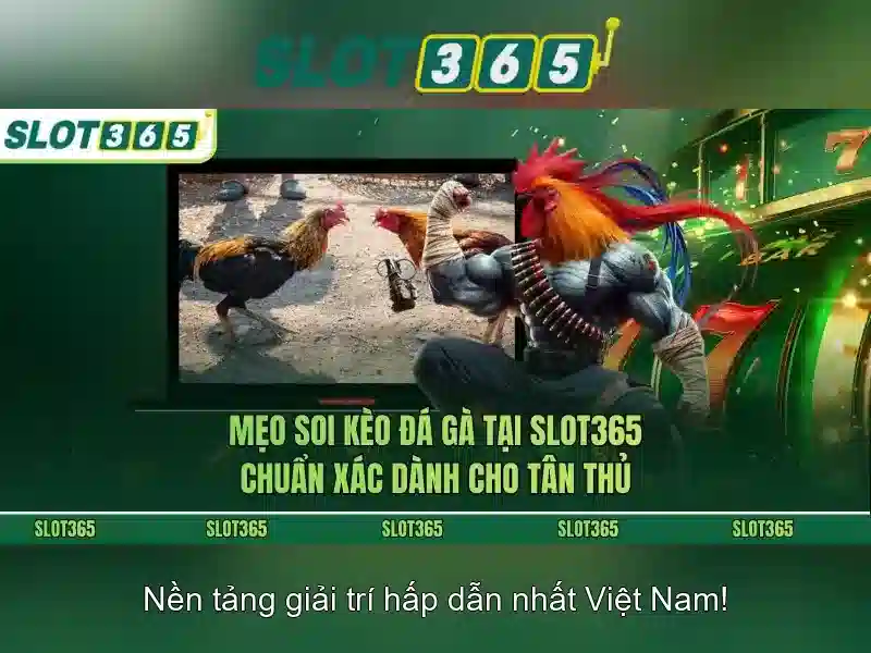 Trò chơi SLOT365