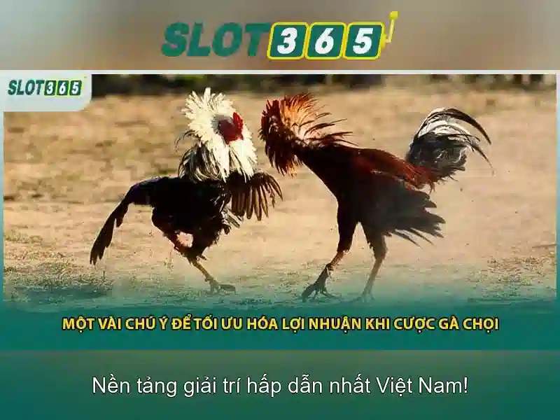 Liên Hệ Slot365 Chính Thức - Trải Nghiệm Cá Cược Đa Nền Tảng 2026