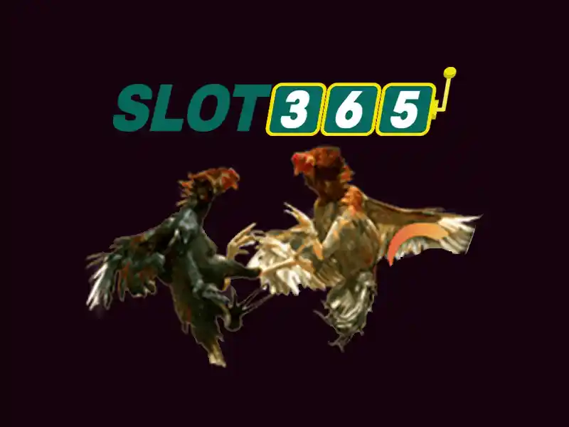 slot365