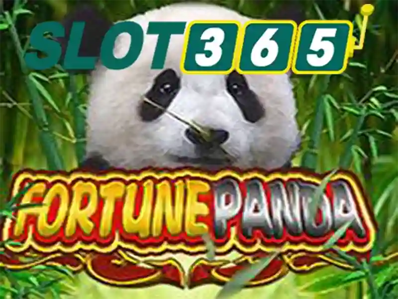 Ưu Đãi Slot365